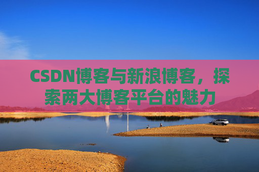 CSDN博客与新浪博客，探索两大博客平台的魅力